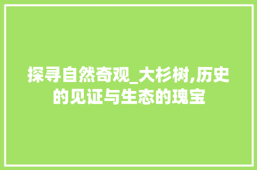 探寻自然奇观_大杉树,历史的见证与生态的瑰宝