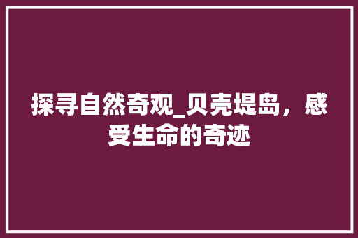 探寻自然奇观_贝壳堤岛，感受生命的奇迹