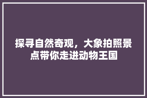 探寻自然奇观，大象拍照景点带你走进动物王国