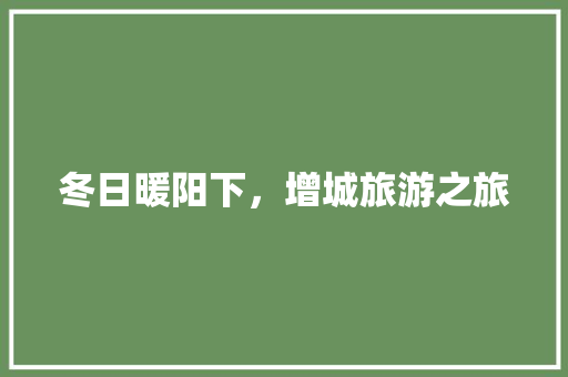 冬日暖阳下，增城旅游之旅  第1张