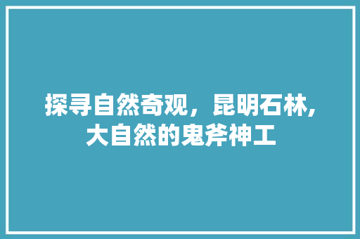 探寻自然奇观，昆明石林,大自然的鬼斧神工