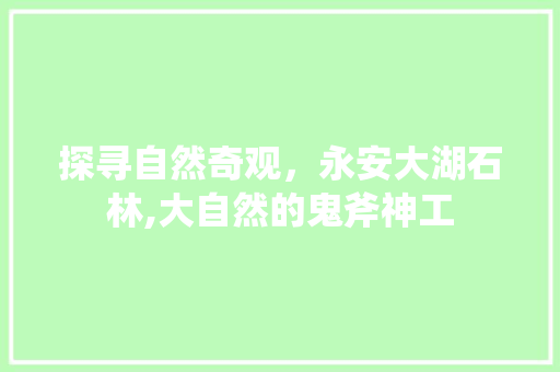 探寻自然奇观，永安大湖石林,大自然的鬼斧神工