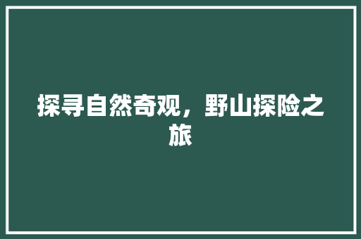 探寻自然奇观，野山探险之旅