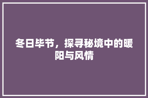 冬日毕节，探寻秘境中的暖阳与风情