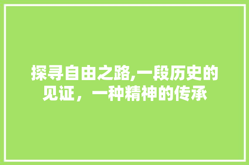 探寻自由之路,一段历史的见证，一种精神的传承