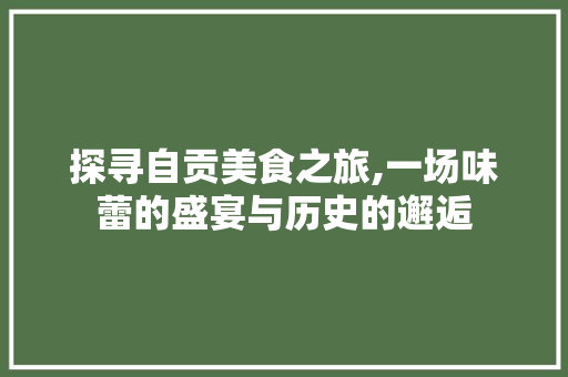 探寻自贡美食之旅,一场味蕾的盛宴与历史的邂逅