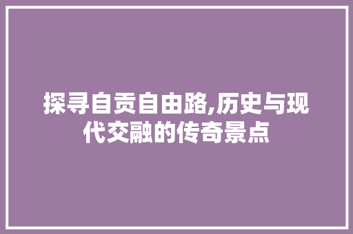 探寻自贡自由路,历史与现代交融的传奇景点