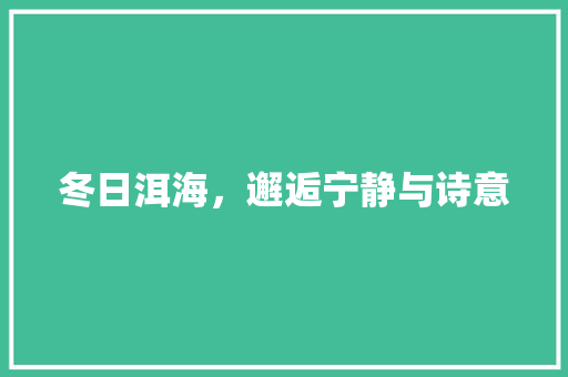 冬日洱海，邂逅宁静与诗意  第1张