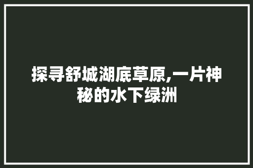 探寻舒城湖底草原,一片神秘的水下绿洲