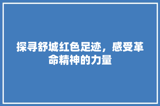 探寻舒城红色足迹，感受革命精神的力量