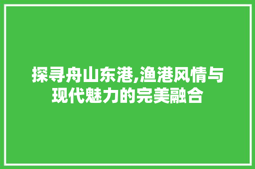 探寻舟山东港,渔港风情与现代魅力的完美融合