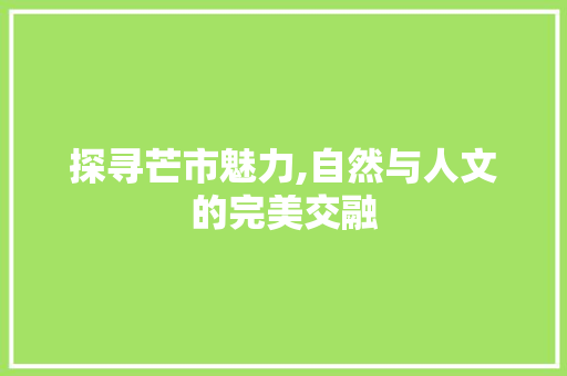 探寻芒市魅力,自然与人文的完美交融