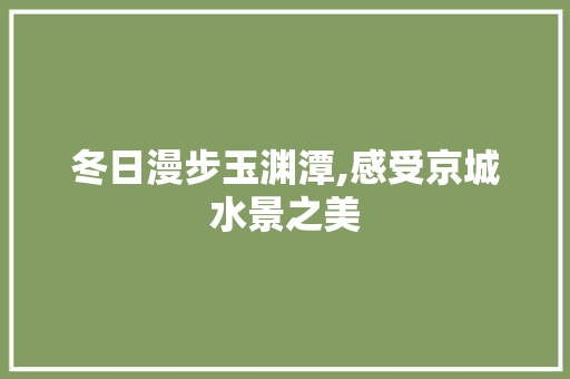 冬日漫步玉渊潭,感受京城水景之美  第1张