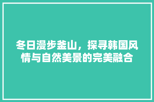 冬日漫步釜山，探寻韩国风情与自然美景的完美融合