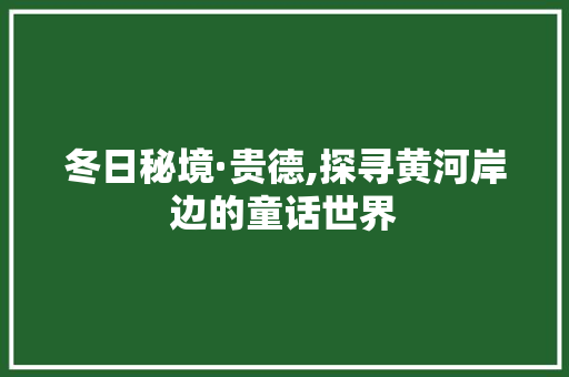 冬日秘境·贵德,探寻黄河岸边的童话世界