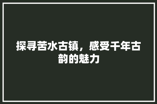 探寻苦水古镇，感受千年古韵的魅力