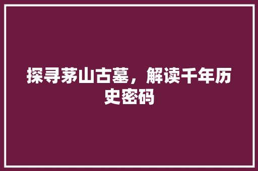 探寻茅山古墓，解读千年历史密码