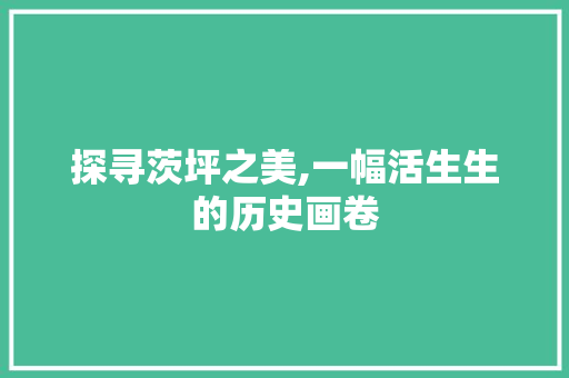 探寻茨坪之美,一幅活生生的历史画卷