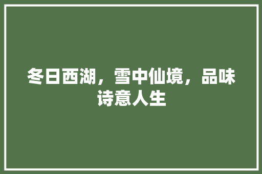 冬日西湖，雪中仙境，品味诗意人生  第1张