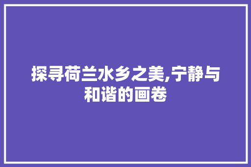 探寻荷兰水乡之美,宁静与和谐的画卷