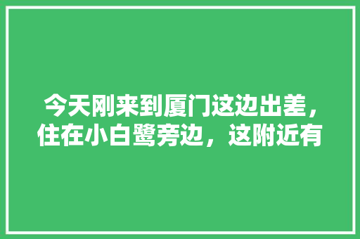 今天刚来到厦门这边出差，住在小白鹭旁边，这附近有什么好玩的，厦门二日旅游团报价。