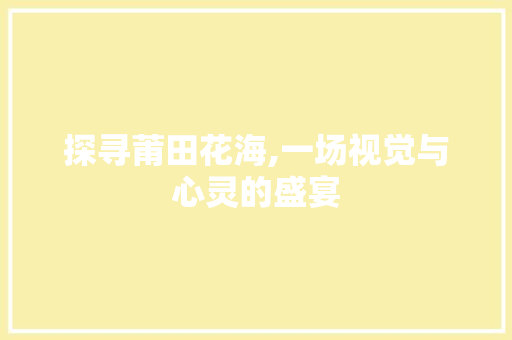 探寻莆田花海,一场视觉与心灵的盛宴