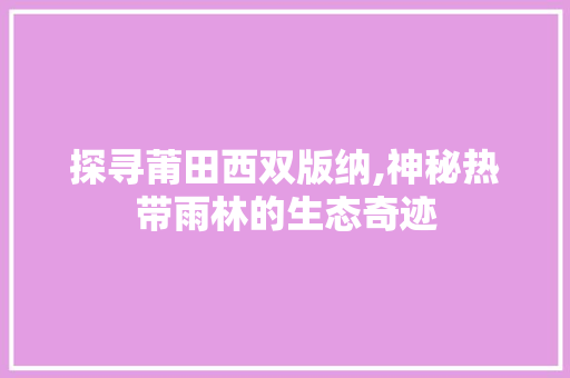 探寻莆田西双版纳,神秘热带雨林的生态奇迹