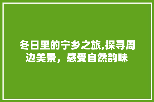 冬日里的宁乡之旅,探寻周边美景，感受自然韵味