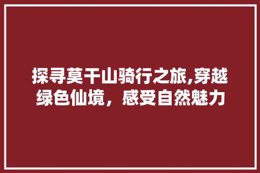 探寻莫干山骑行之旅,穿越绿色仙境，感受自然魅力