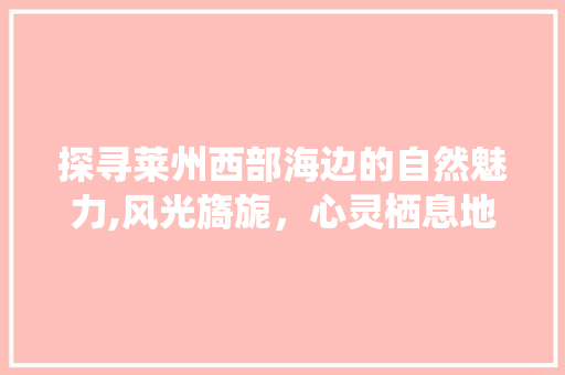 探寻莱州西部海边的自然魅力,风光旖旎，心灵栖息地