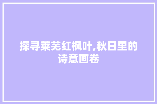 探寻莱芜红枫叶,秋日里的诗意画卷