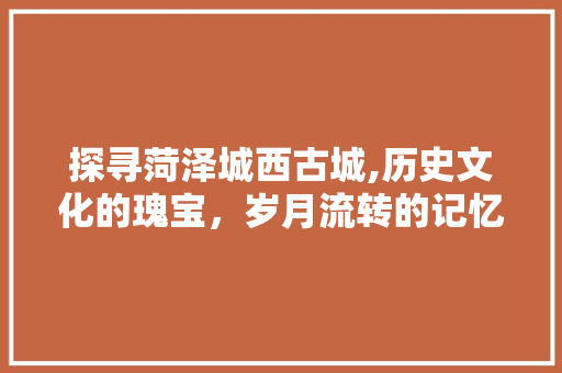 探寻菏泽城西古城,历史文化的瑰宝，岁月流转的记忆