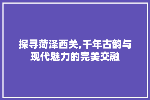 探寻菏泽西关,千年古韵与现代魅力的完美交融