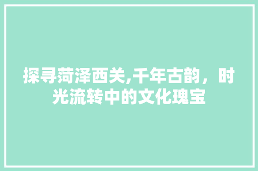 探寻菏泽西关,千年古韵，时光流转中的文化瑰宝