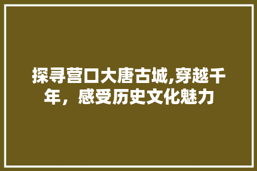 探寻营口大唐古城,穿越千年，感受历史文化魅力