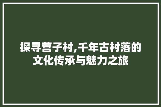 探寻营子村,千年古村落的文化传承与魅力之旅