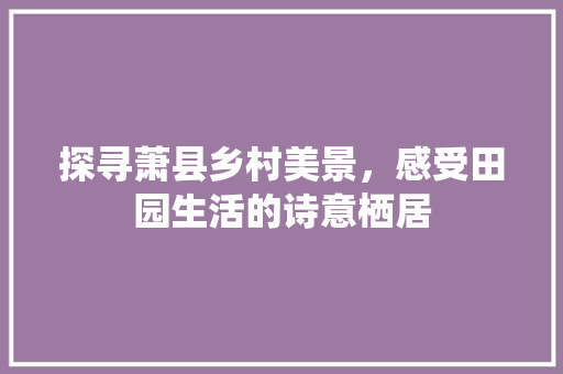 探寻萧县乡村美景，感受田园生活的诗意栖居