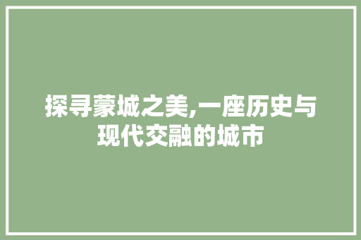 探寻蒙城之美,一座历史与现代交融的城市