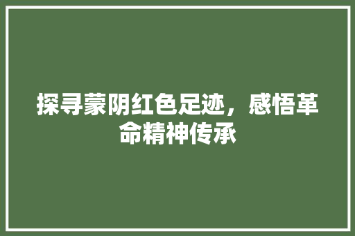 探寻蒙阴红色足迹，感悟革命精神传承