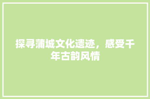 探寻蒲城文化遗迹，感受千年古韵风情