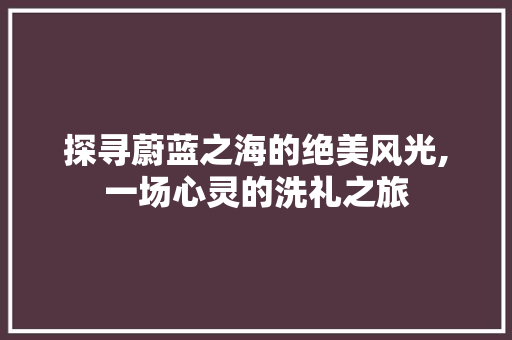 探寻蔚蓝之海的绝美风光,一场心灵的洗礼之旅