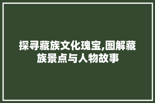 探寻藏族文化瑰宝,图解藏族景点与人物故事