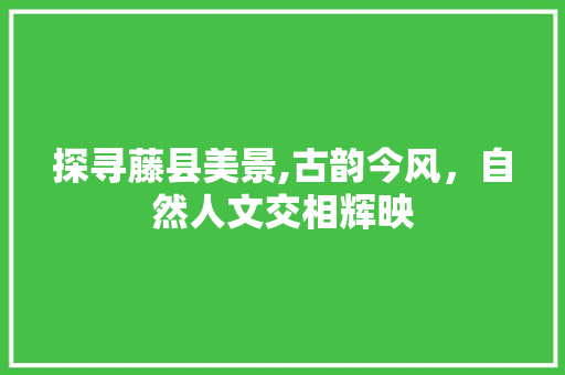 探寻藤县美景,古韵今风，自然人文交相辉映