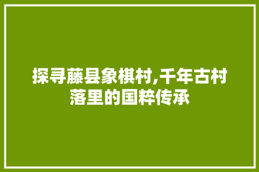 探寻藤县象棋村,千年古村落里的国粹传承