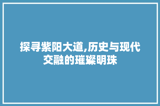 探寻紫阳大道,历史与现代交融的璀璨明珠