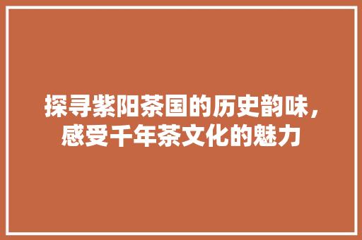 探寻紫阳茶国的历史韵味，感受千年茶文化的魅力