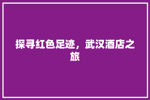 探寻红色足迹，武汉酒店之旅