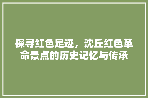 探寻红色足迹，沈丘红色革命景点的历史记忆与传承