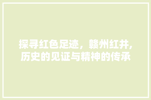 探寻红色足迹，赣州红井,历史的见证与精神的传承