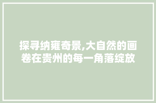 探寻纳雍奇景,大自然的画卷在贵州的每一角落绽放